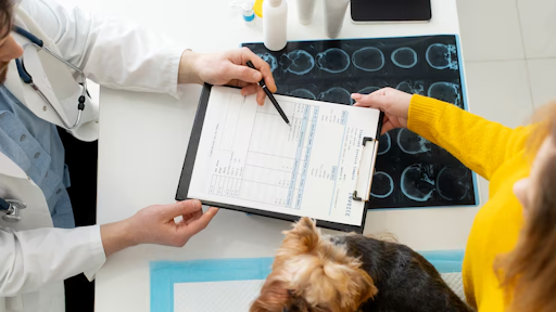 What Secrets Does Veterinary Imaging Reveal About Your Pet?