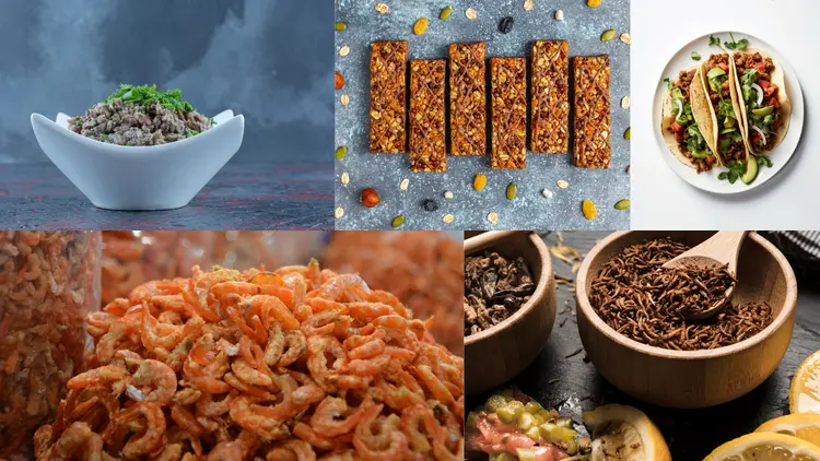 What Surprising Dishes Can We Cook With Edible Insects?