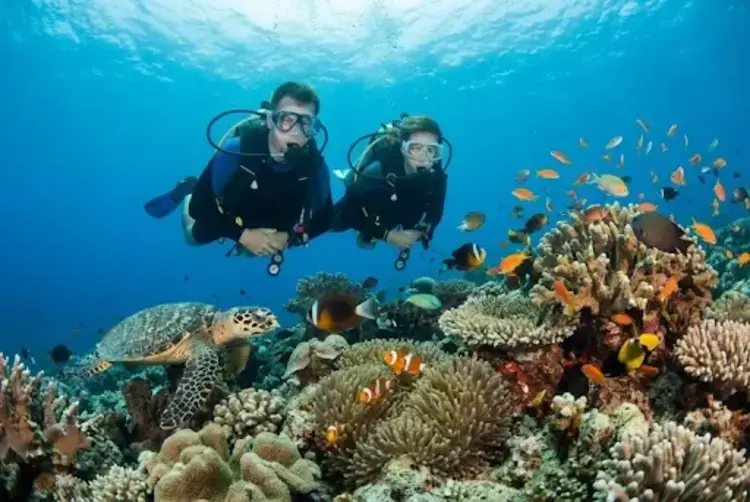 Open Water Diving Course Koh Tao: Become a Certified Diver in Thailand’s Best Location