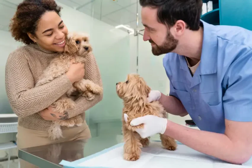 When It’s Time to See a Specialist for Your Pet’s Nervous System